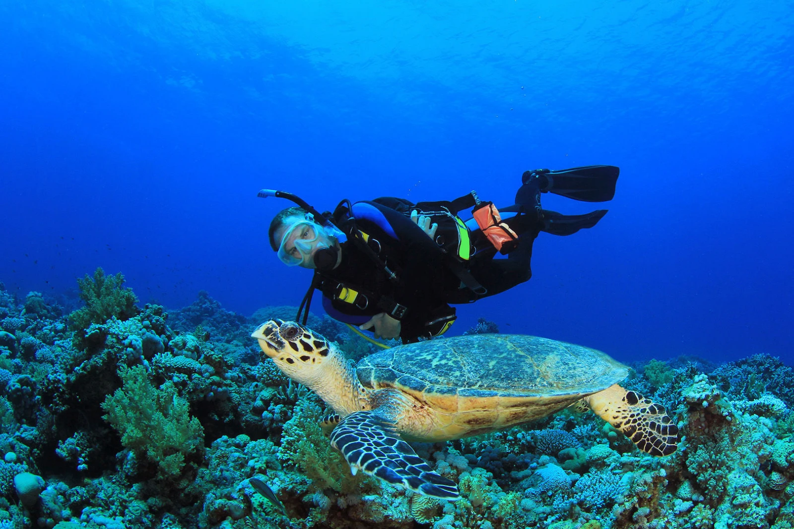 diving in kas1